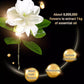 🥳2026 HOT SALE🥳💞50K+ SOLD!💥🧼✨ 50% OFF! Deep Cleansing Golden Perfume Soap – Rich fine foam, deep pore cleanse. Moisturizing golden ingredients, floral fragrance. Leaves skin soft, smooth & radiant. Your daily luxury. 🌸🛁