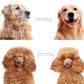 ⏰🔥 Professional Pet Shedding Comb – Effectively Removes Loose Hair – Pay on Delivery 🐾✅