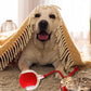 🐾 Smart Automatic Rolling Pet Ball