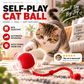 🐾 Smart Automatic Rolling Pet Ball