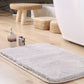 Absorbent Bathroom Rug Non-Slip Entry Mat