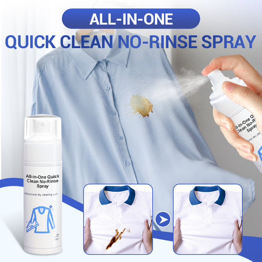 All-in-One Quick Clean No-Rinse Spray