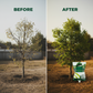 Multipurpose Composting Essence