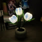 🔥LED Tulip Night Light Flower Table Lamp🌷✨