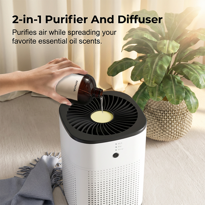 Compact Air Purifier for Home and Office