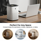 Compact Air Purifier for Home and Office