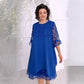 👗 50% OFF! Sheer Lace Midi Dress – Flattering round neck, soft & wrinkle-resistant. Sheer sleeves add elegance. Pink & blue, sizes up to 5XL. Every curve celebrated. 🎀✅