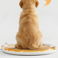 Tapis anti-éclaboussures antidérapant et rafraîchissant pour animaux de compagnie