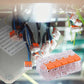 Universal Connection Terminal 75pcs/box