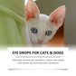 Universal Pet Eye Drops for Dogs and Cats