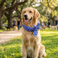 Summer Pet Cooling Collar Wrap
