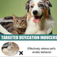 Pet Positioning Defecation Inducer Spray