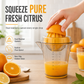 Portable Manual Fruit Juicer